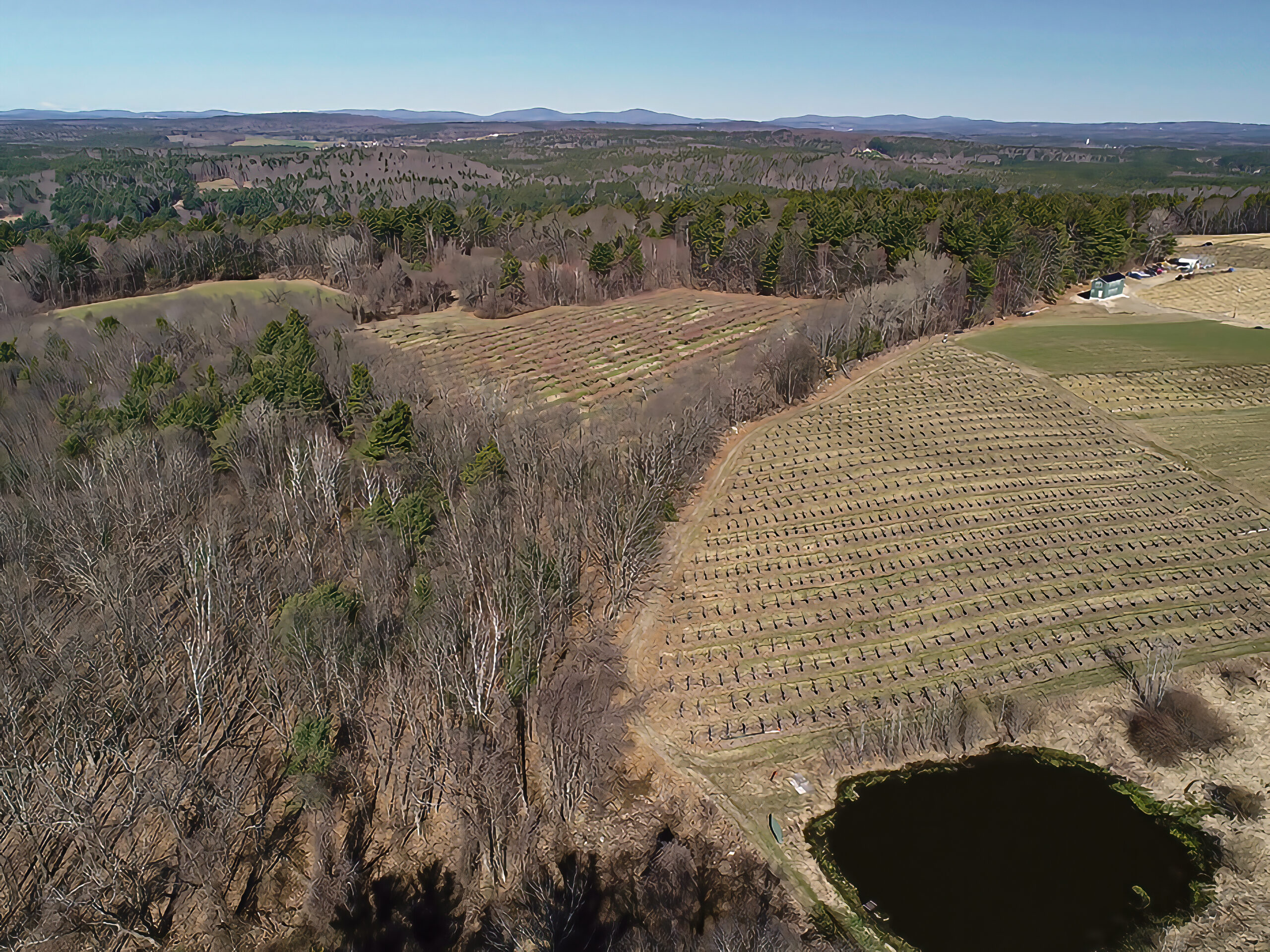 Mount Vernon Exterior Services